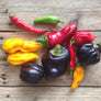 Grow Kit - Chilies