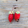 Alpine Strawberry Baron Von Solemacher