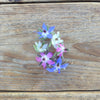 Borage Flower Mix