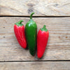 Hot Pepper Jalapeño M