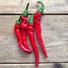 Hot pepper Cayenne Long Slim