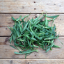 Foraging wild herbs