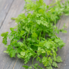 Chervil Brussels Winter