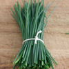 Chives Fine Leaf