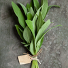 Mediterranean Herbs