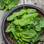 Specialty Leaves