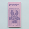 Sweet Violet Queen Charlotte
