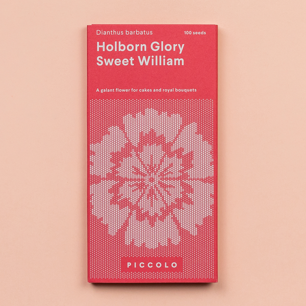 Sweet William Holborn Glory – Piccolo Seeds