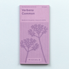 Verbena