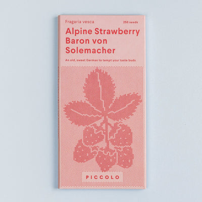 Alpine Strawberry Baron Von Solemacher