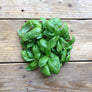 Basilico Genovese