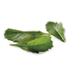 Rucola Wildfire/Wasabi