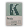 K - Knautia