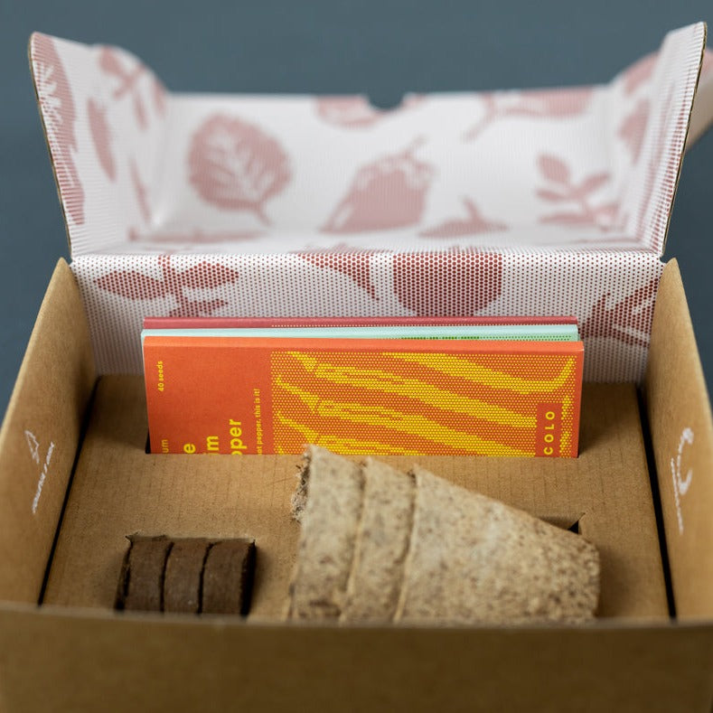 Grow Kit - Chilies – Piccolo Seeds