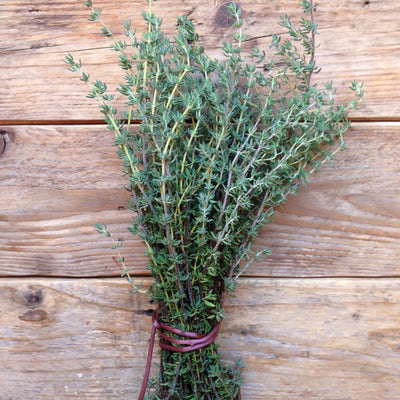 Thyme De Provence