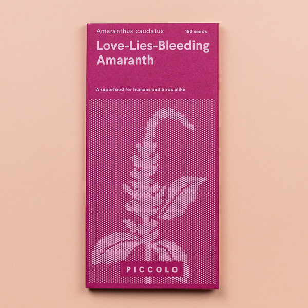 Amaranth Love lies bleeding – Piccolo Seeds Amaranth Love lies bleeding – Piccolo Seeds