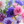 Cornflower Polka Dot Mix