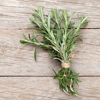 Mediterranean Herbs