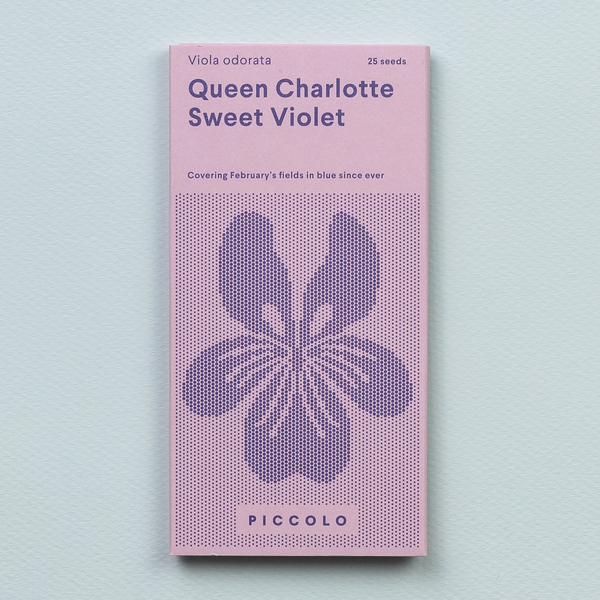 Sweet Violet Queen Charlotte – Piccolo Seeds