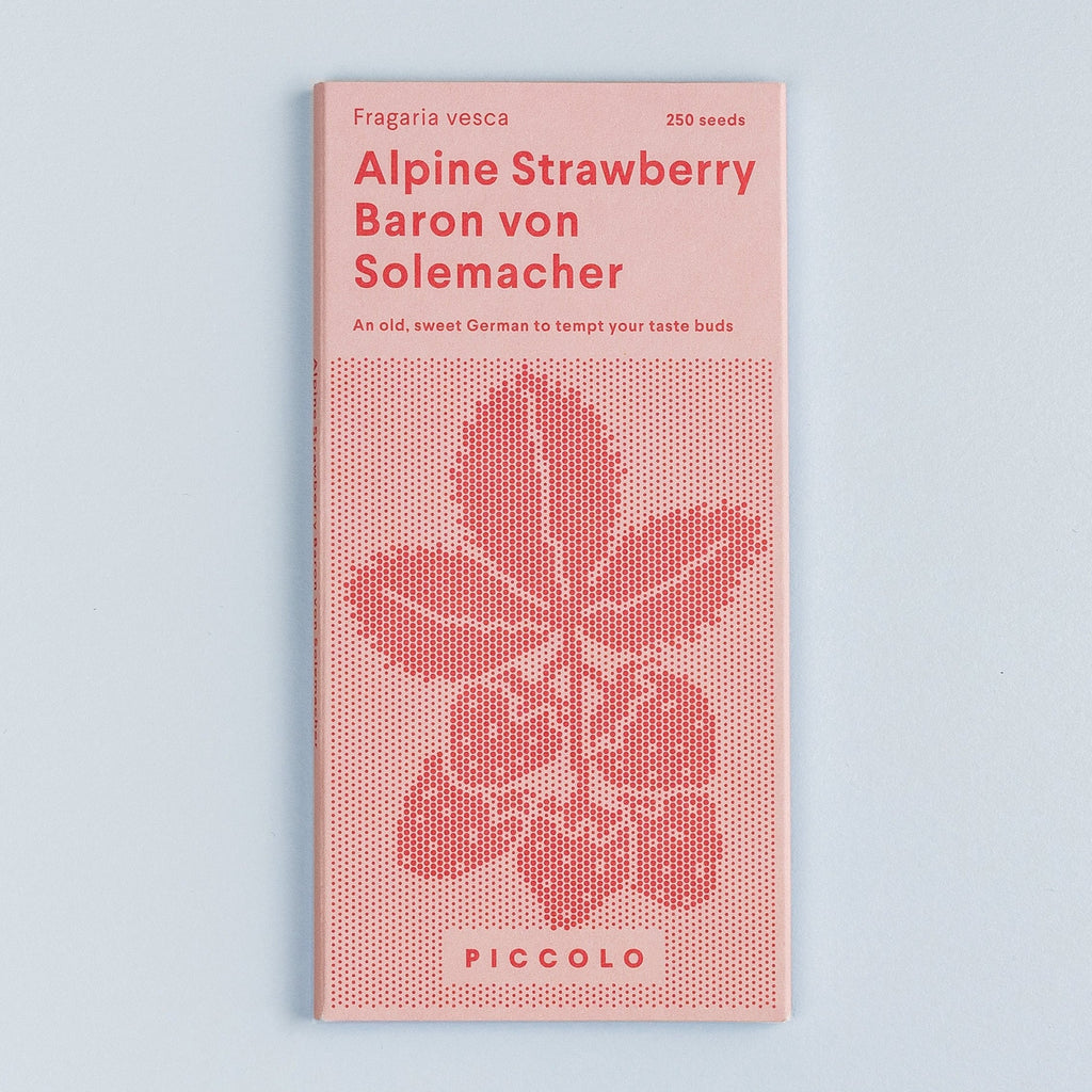 baron von solemacher strawberry seeds Alpine Strawberry Baron Von Solemacher – Piccolo Seeds