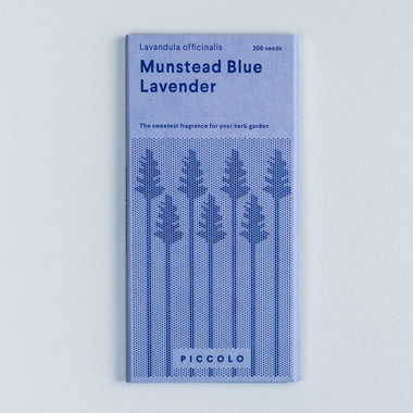 Lavander Munstead Blue