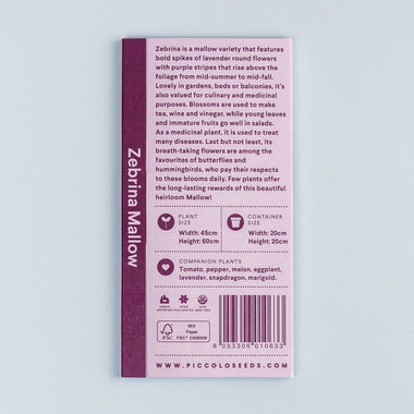 Malva Zebrina