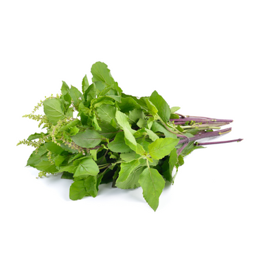 Basil Holy Green