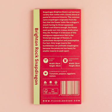 Bocca di leone Brighton Rock